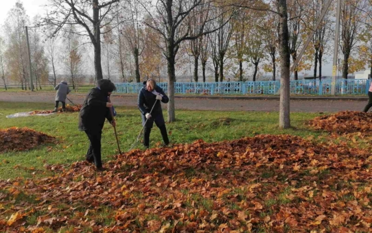 Акция "Наш красивый и чистый агрогородок"