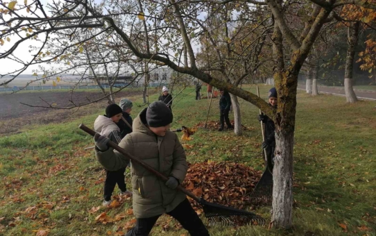 Акция "Наш чистый школьный двор"