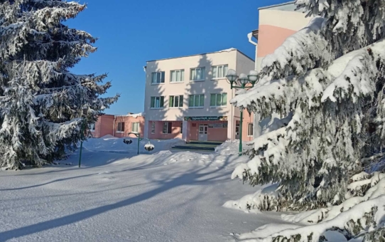 Борунская средняя школа