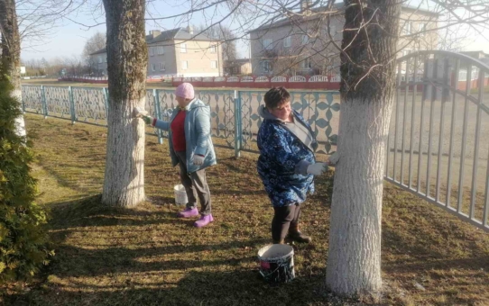 Акция "Моя чистая любимая школа"